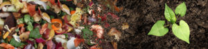 Composting