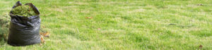 Yard Debris Programs